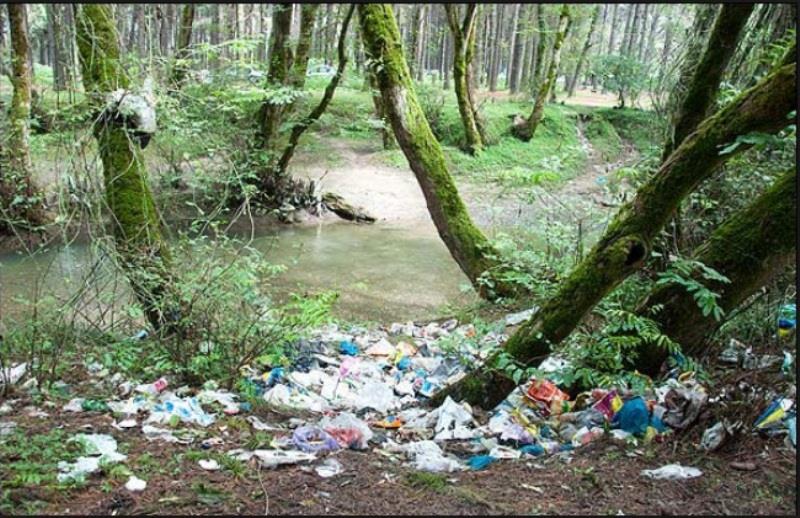 ریختن زباله در آب رودخانه جنگل