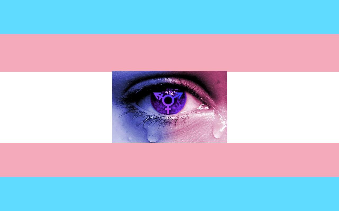 پرچم مخصوص افراد ترنسکشوال و تراجنسیتی