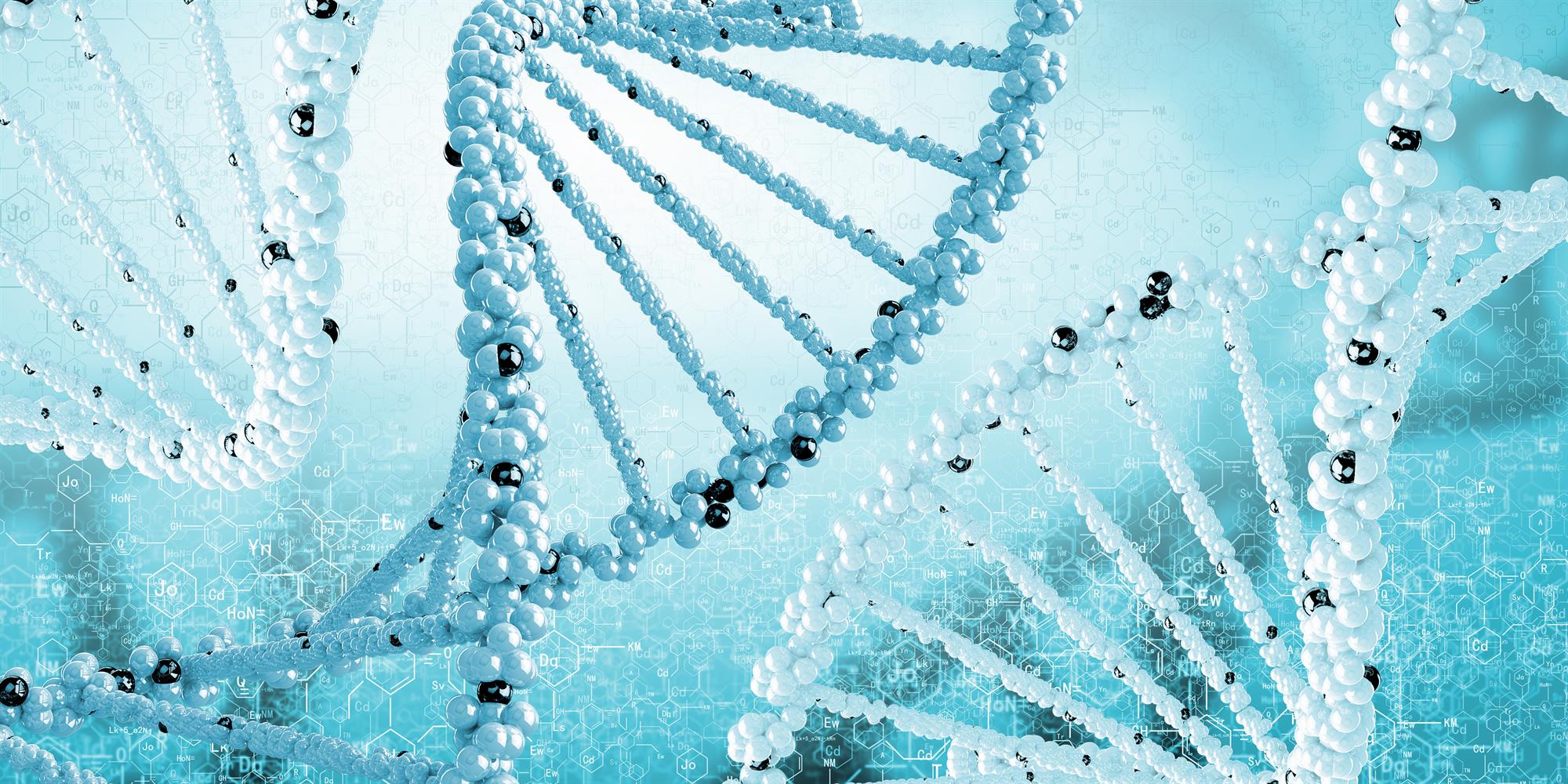 ساختار DNA 