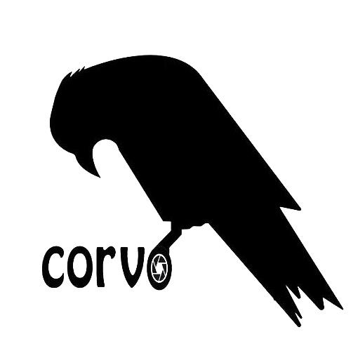 استودیو کروو Corvo