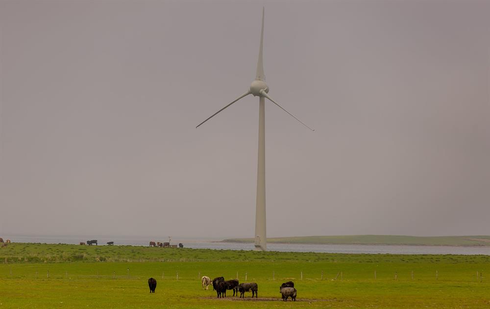 مولدهای بادی، بخشی از چشم انداز در جزایر اورکنی است که در آن فن آوری های انرژی تجدید پذیر 100 درصد برق تولید شده به 10،000 ساکن این جزایر را تولید می کنند