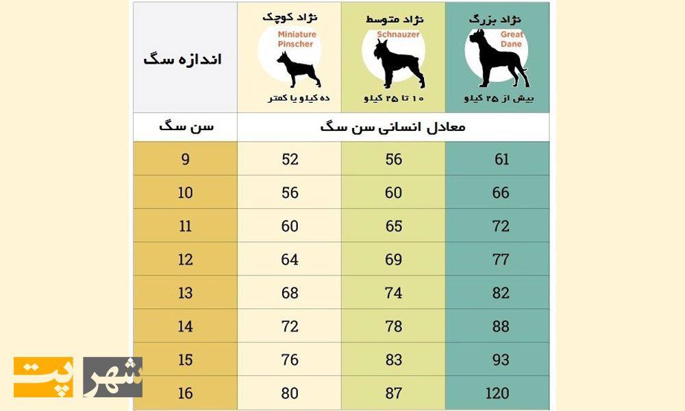 جدول معادل سازی سن سگ با سن انسان
