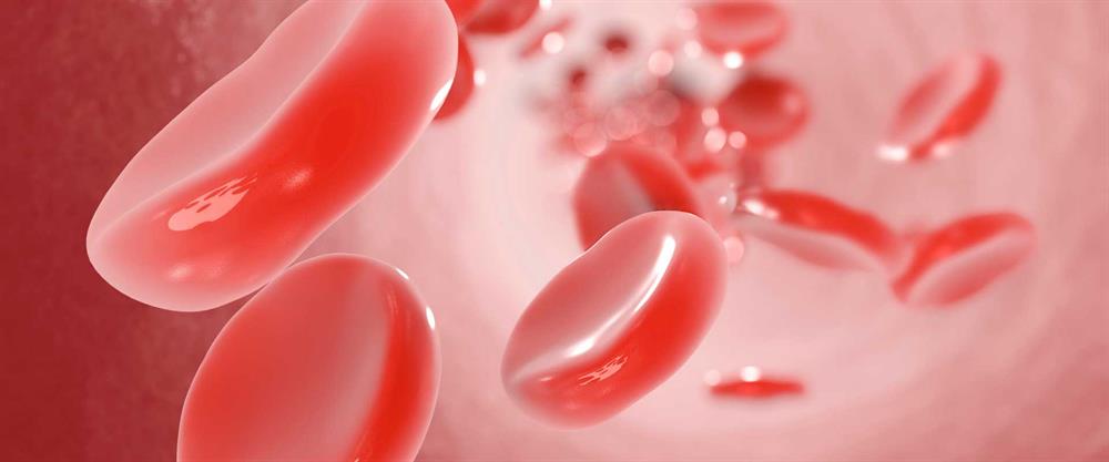 گلبول‌های قرمز در خون با حروف اختصاری RBC مشخص می‌شوند