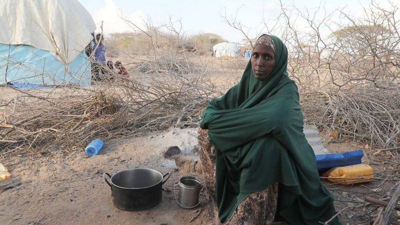 خشکسالی طولانی در سومالی تاثیر شدیدی بر خانواده ها داشته و بسیاری را مجبور به جابجایی کرده است