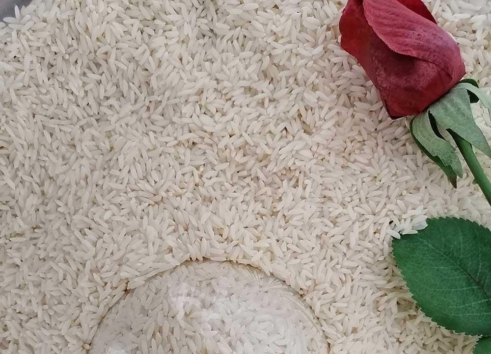 تولید یک نوع برنج ایرانی اسرارآمیز 