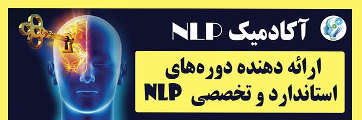 Cover of Academic NLP